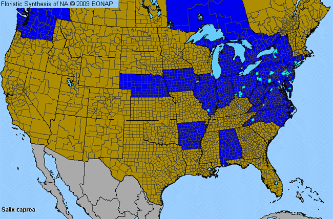 Allergies By County Map For Goat Willow