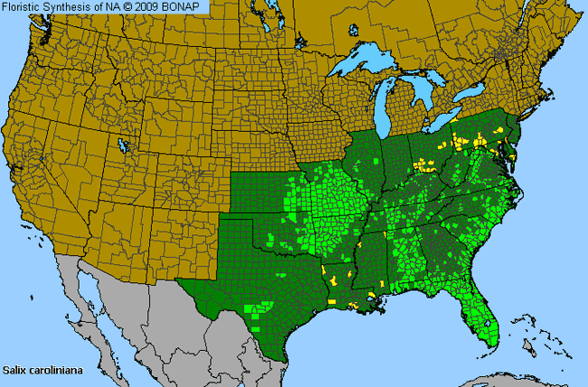 Allergies By County Map For Carolina Willow