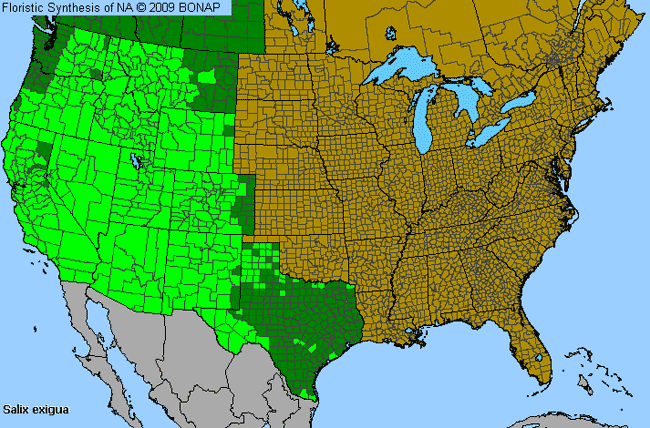 Allergies By County Map For Narrow-Leaf Willow