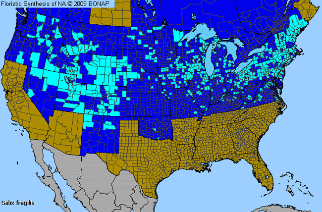 Allergies By County Map For Crack Willow