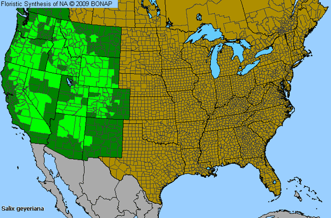 Allergies By County Map For Geyer's Willow