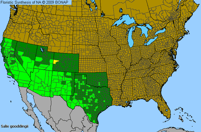 Allergies By County Map For Goodding's Black Willow