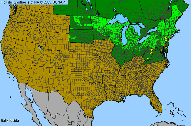 Allergies By County Map For Shining Willow