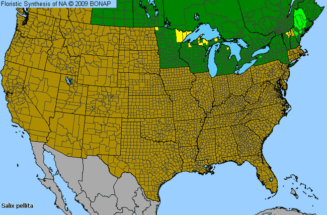 Allergies By County Map For Satiny Willow