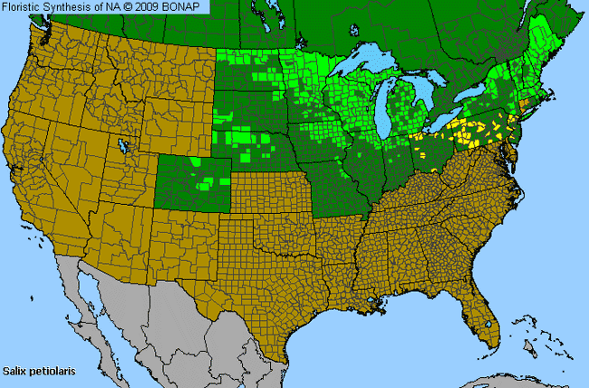 Allergies By County Map For Meadow Willow