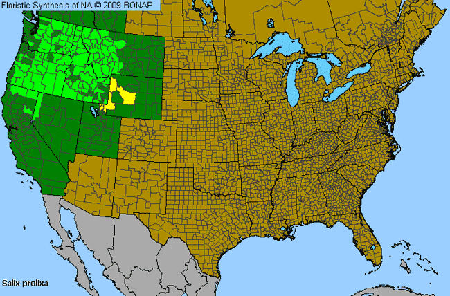 Allergies By County Map For Mackenzie's Willow