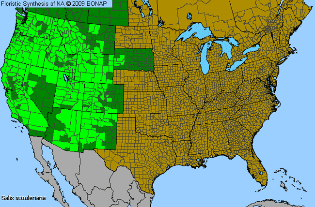 Allergies By County Map For Scouler's Willow