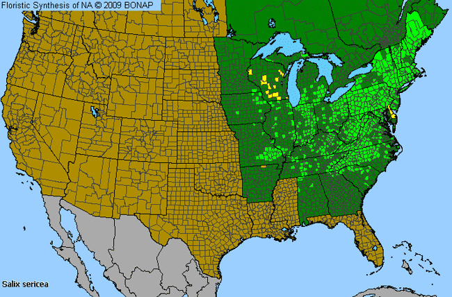 Allergies By County Map For Silky Willow