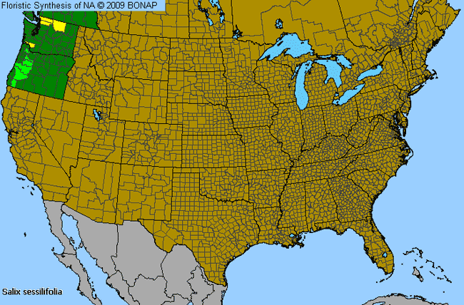 Allergies By County Map For Sessile-Leaf Willow