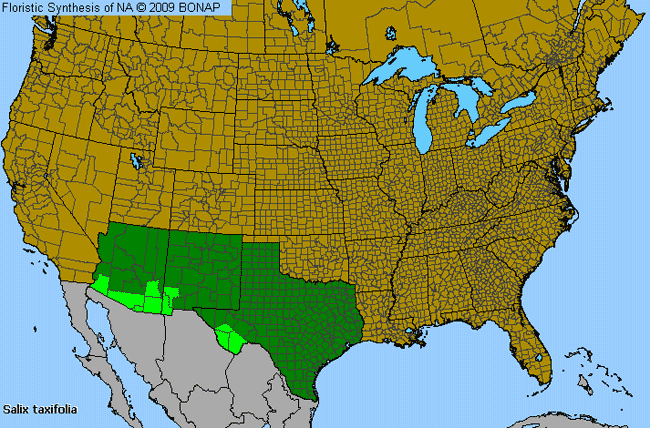 Allergies By County Map For Yew-Leaf Willow