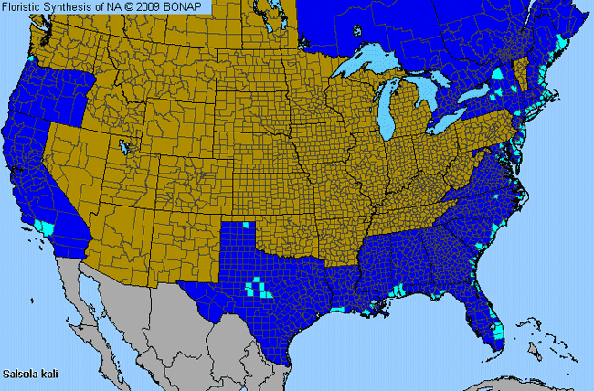 Allergies By County Map For Russian-Thistle