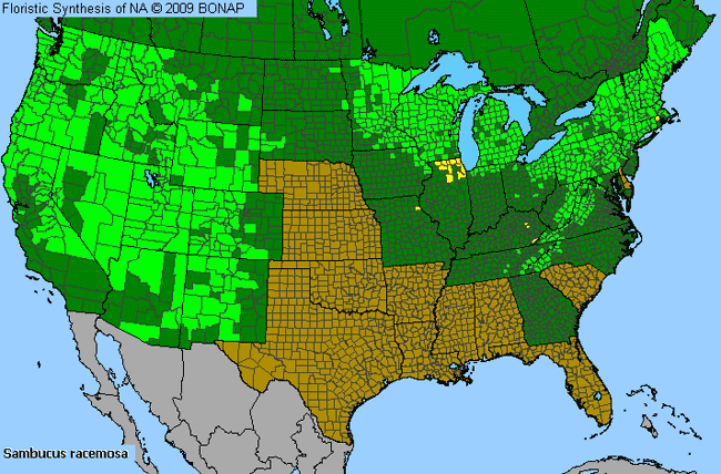 Allergies By County Map For Red Elder