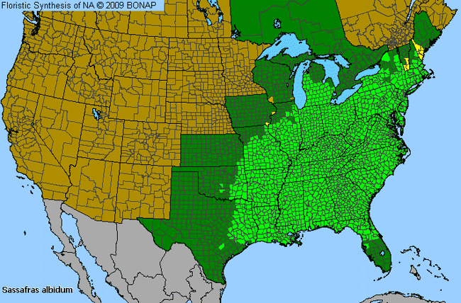 Allergies By County Map For Sassafras