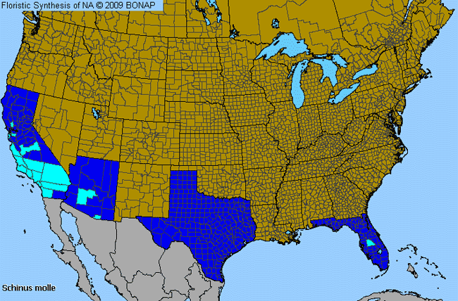 Allergies By County Map For Peruvian Peppertree