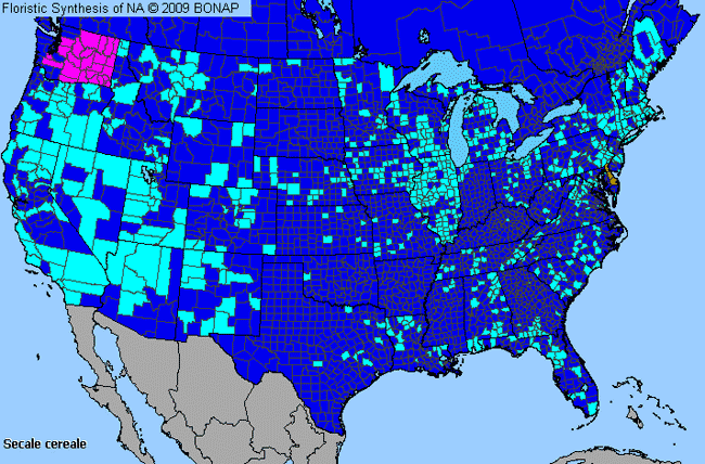 Allergies By County Map For Cultivated Rye