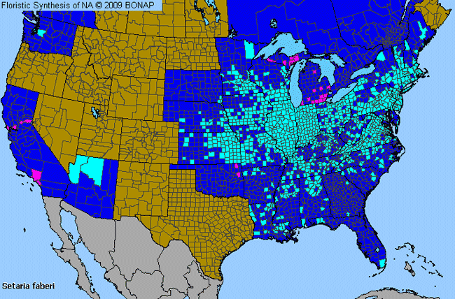 Allergies By County Map For Japanese Bristle Grass