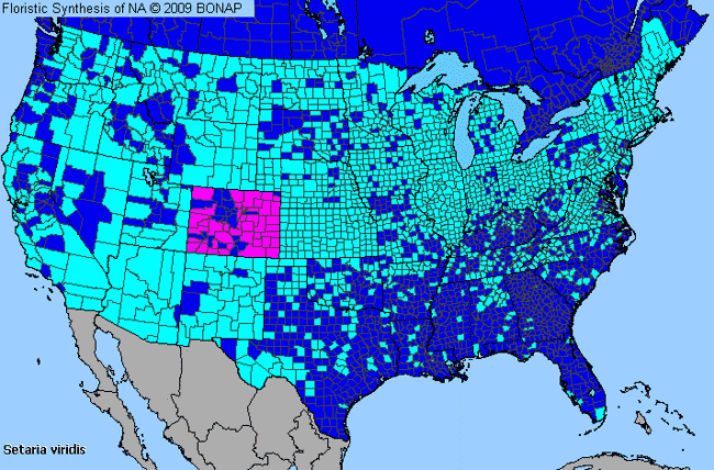 Allergies By County Map For Green Bristle Grass