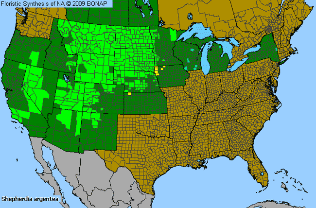 Allergies By County Map For Silver Buffalo-Berry