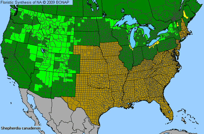 Allergies By County Map For Russet Buffalo-Berry