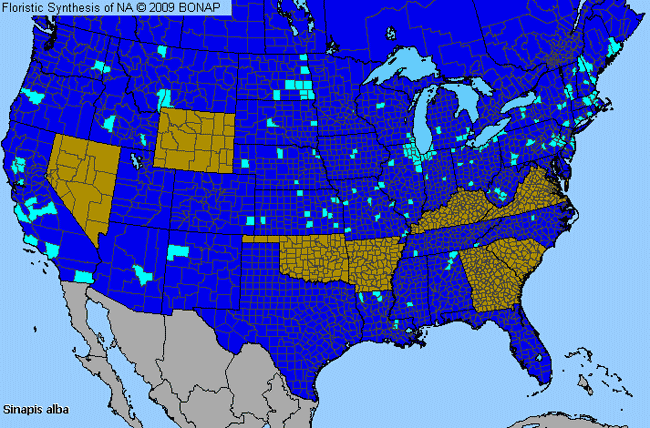 Allergies By County Map For White-Mustard