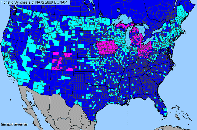 Allergies By County Map For Corn-Mustard