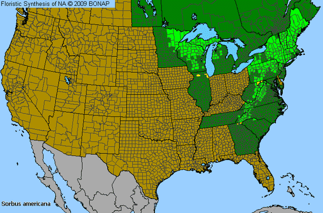 Allergies By County Map For American Mountain-Ash