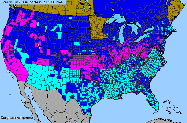 Allergies By County Map For Johnson Grass