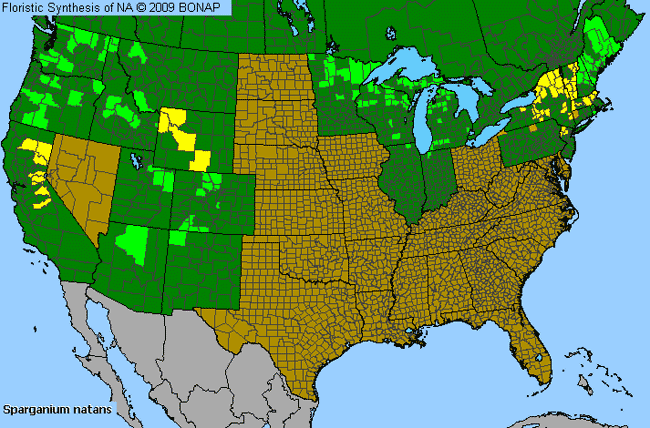 Allergies By County Map For Arctic Burr-Reed