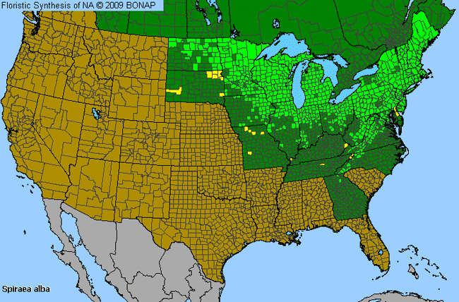 Allergies By County Map For White Meadowsweet