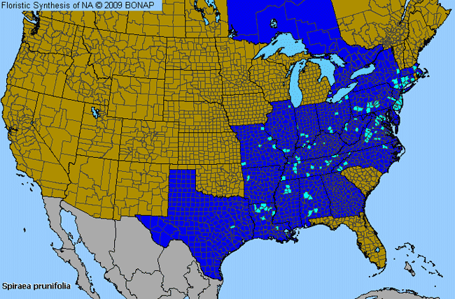 Allergies By County Map For Bridalwreath