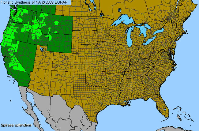 Allergies By County Map For Rose Meadowsweet