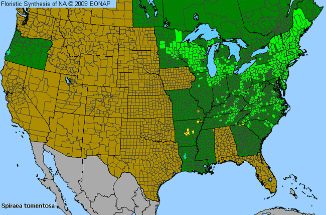 Allergies By County Map For Steeplebush