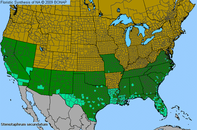 Allergies By County Map For St. Augustine Grass