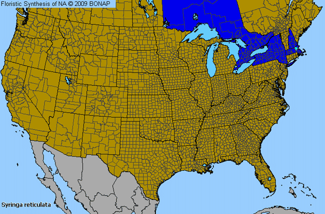 Allergies By County Map For Japanese-Tree Lilac