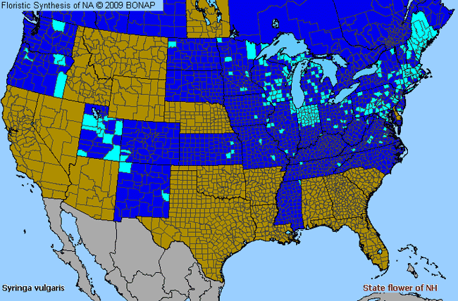 Allergies By County Map For Common Lilac