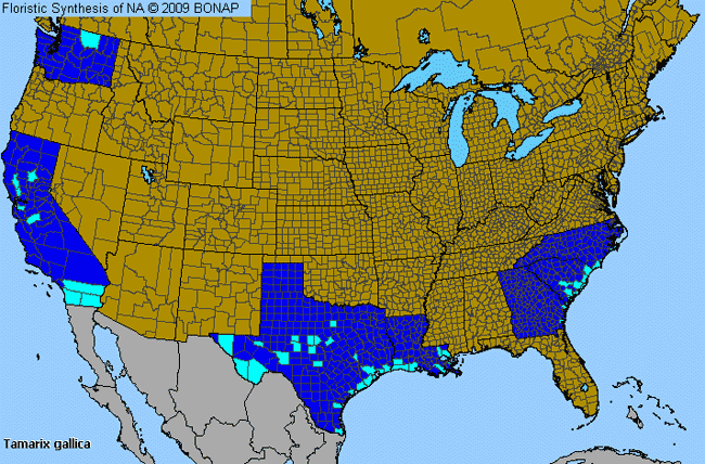 Allergies By County Map For French Tamarisk