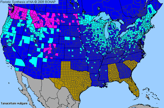 Allergies By County Map For Common Tansy