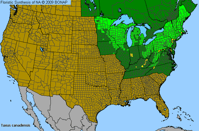 Allergies By County Map For American Yew