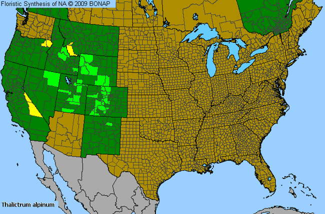 Allergies By County Map For Alpine Meadow-Rue