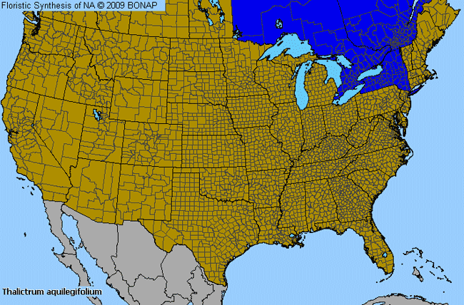 Allergies By County Map For Columbine Meadow-Rue