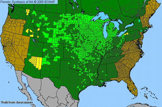 Allergies By County Map For Purple Meadow-Rue