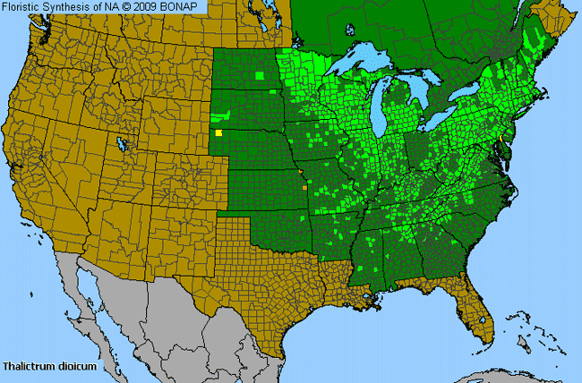 Allergies By County Map For Early Meadow-Rue