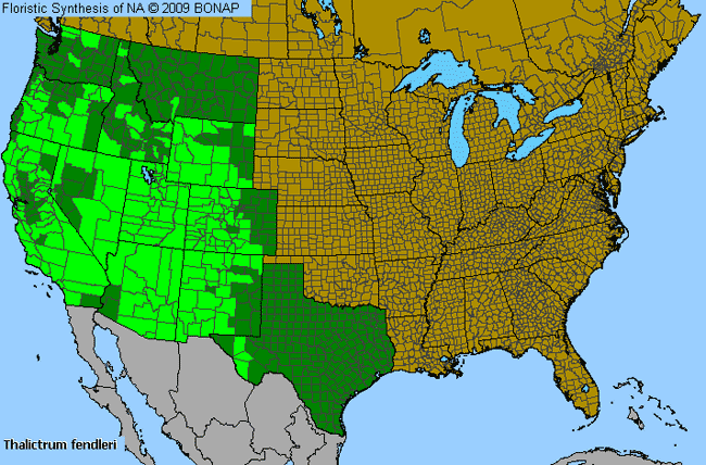 Allergies By County Map For Fendler's Meadow-Rue