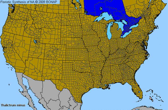 Allergies By County Map For Low Meadow-Rue