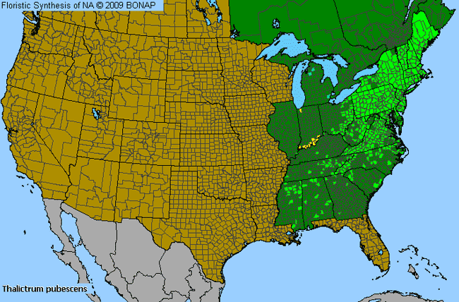 Allergies By County Map For King-of-the-Meadow