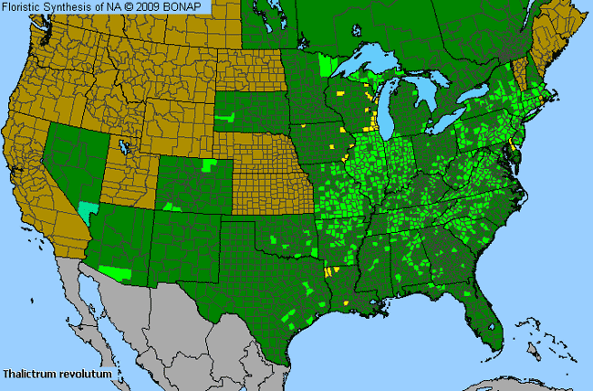 Allergies By County Map For Waxy-Leaf Meadow-Rue