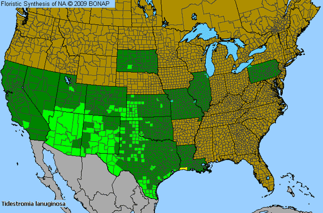 Allergies By County Map For Woolly Honeysweet