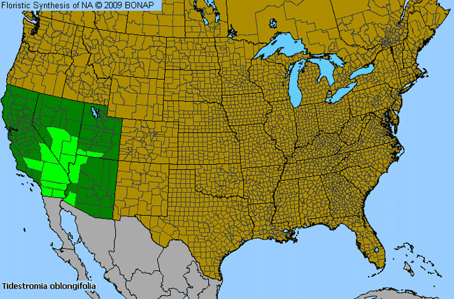 Allergies By County Map For Arizona Honeysweet