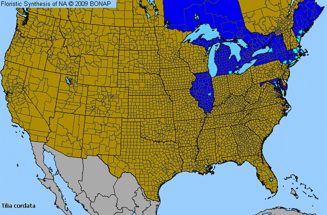 Allergies By County Map For Small-Leaf Linden