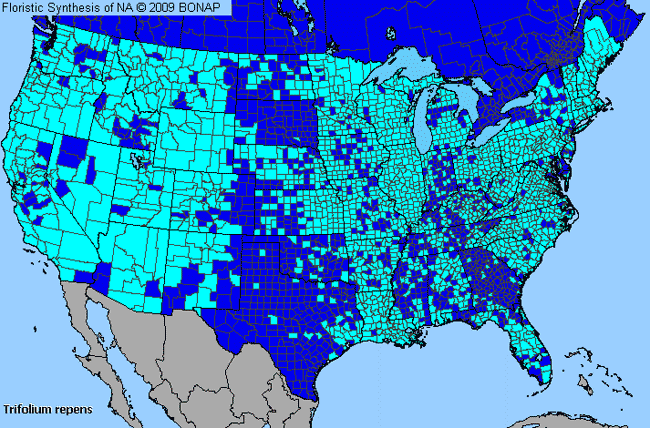 Allergies By County Map For White Clover